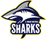 Логотип баскетбольного клуба Sheffield Sharks